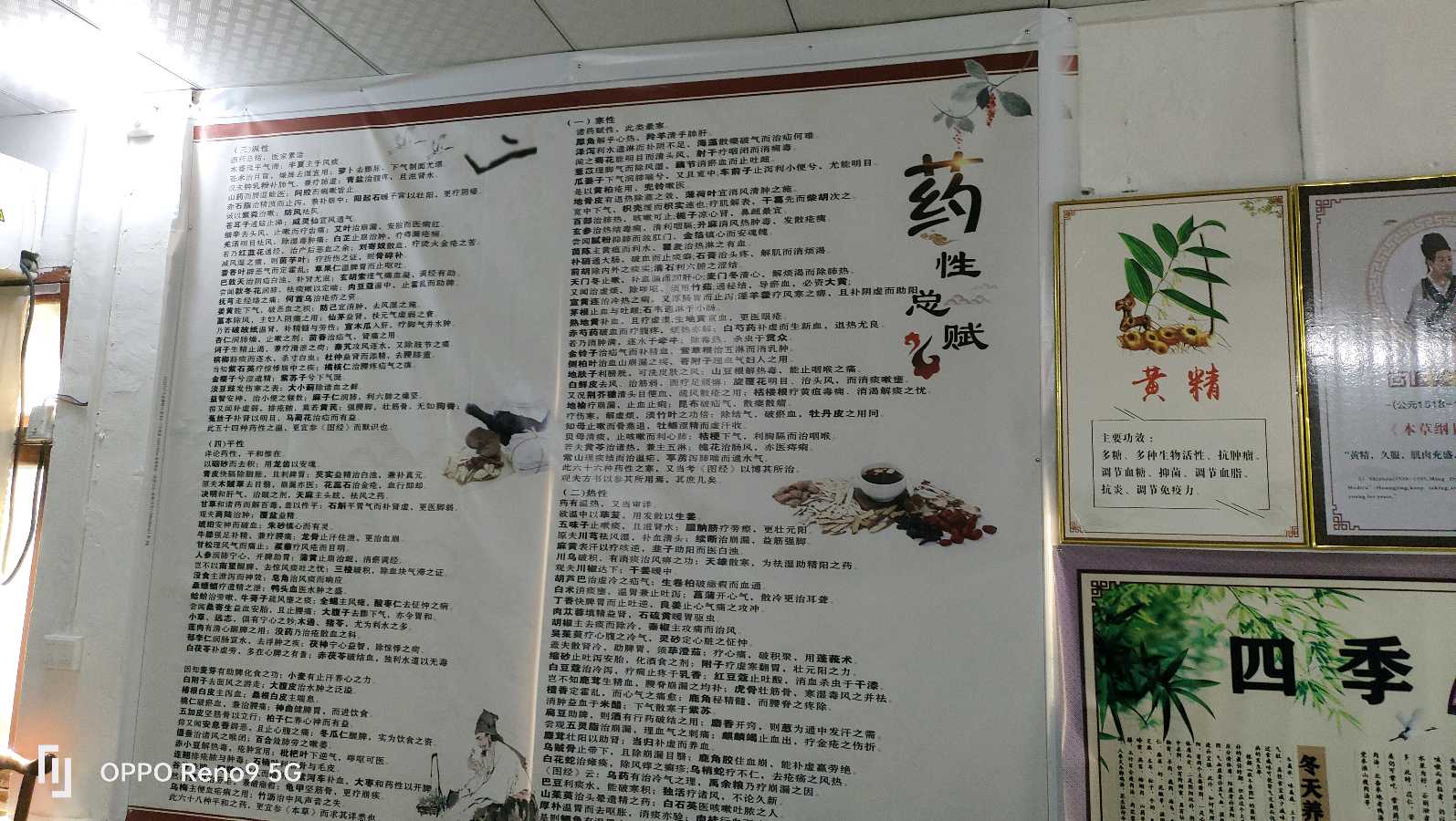 您有疑难杂症亚健康？去找岭南百草养生堂！（图10）