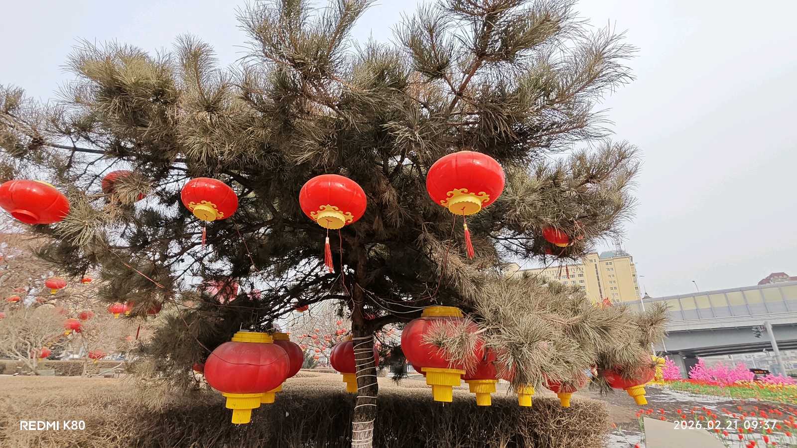 孙福奎格律诗优选/中华诗艺社黑龙江分社【2026第132期】（图7）