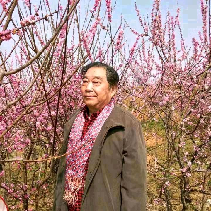【新年放歌】嵩嵩//鹧鸪天•给南阳亲人拜年（图8）