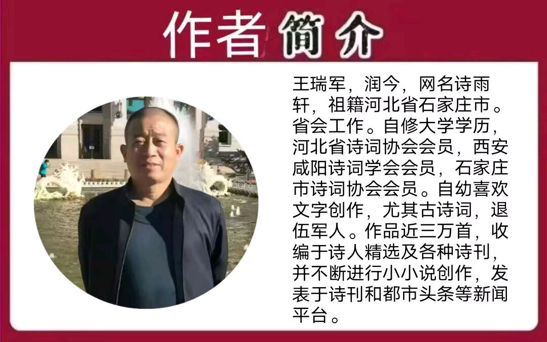 《谈养生》作者/王瑞军 主编/胡琴
