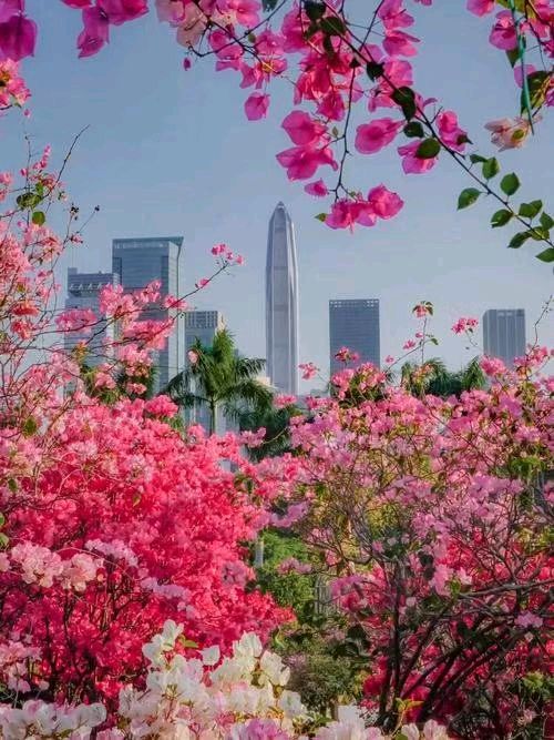 平水韵七绝诗~福田莲花山/詹成（图5）