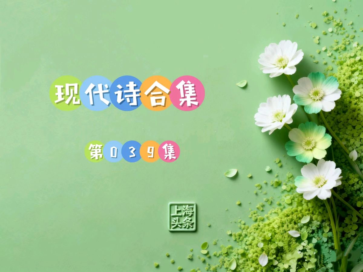 【诗生活】现代诗合集第39期