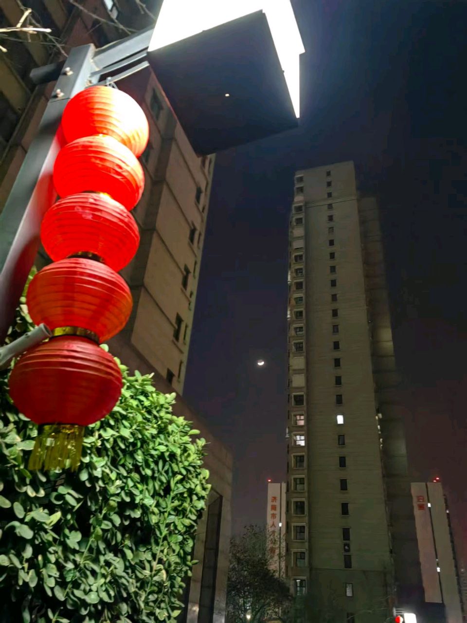 一 弯 新 月🌙（图2）