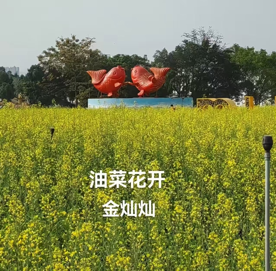 海外头条：（叙事散文诗）《初四出游》作者||丁培恭（图17）