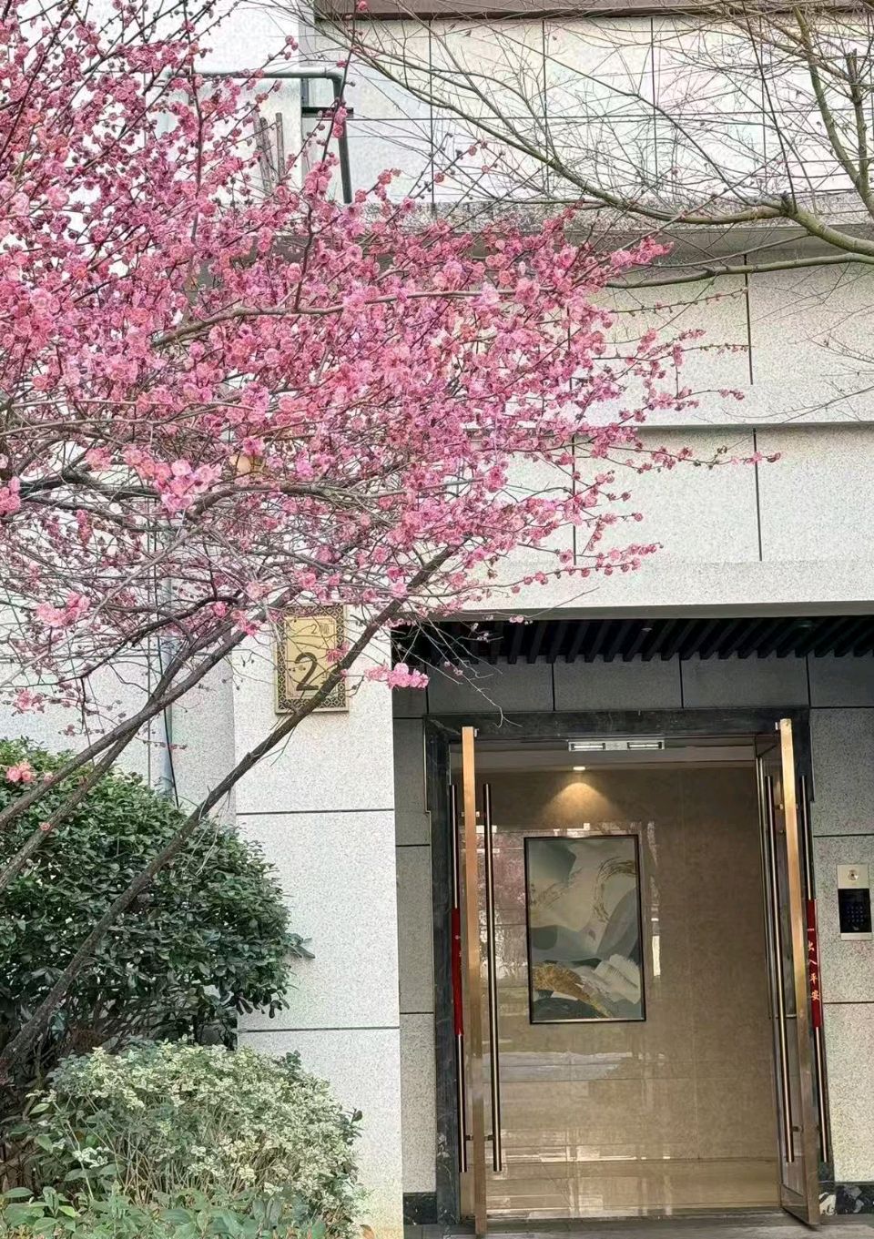 初六的和沁院/董芸（图4）