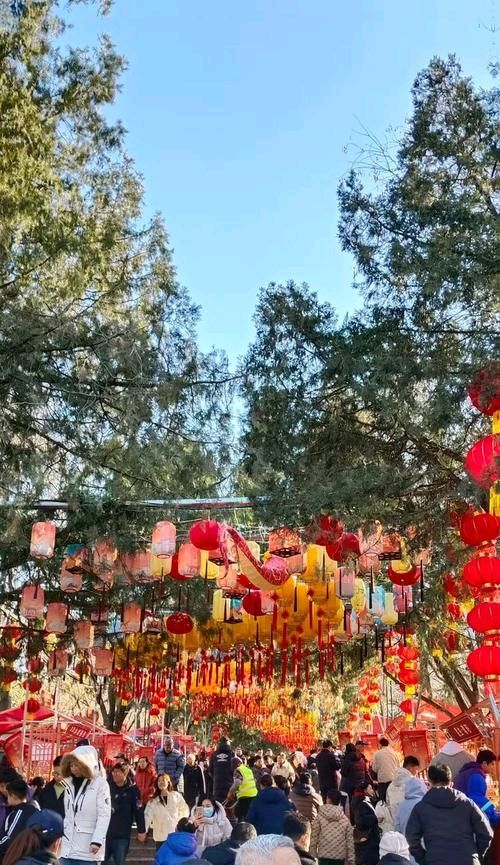 节日气氛浓[烟花]（图5）