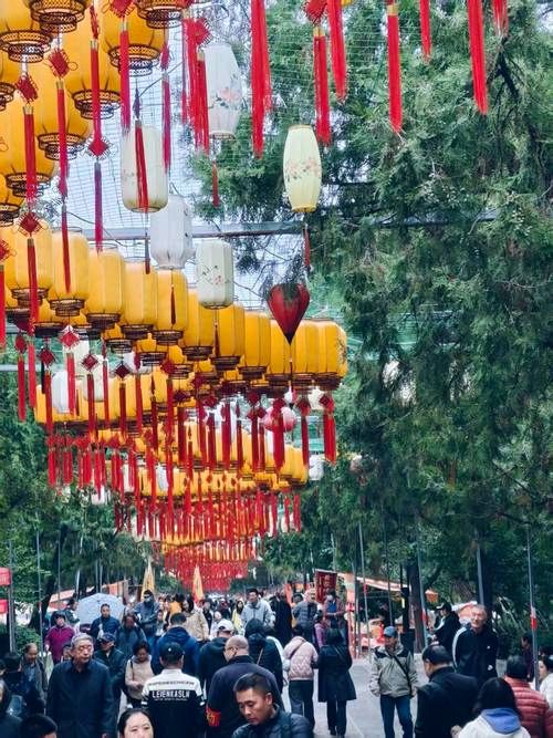 节日气氛浓[烟花]（图10）