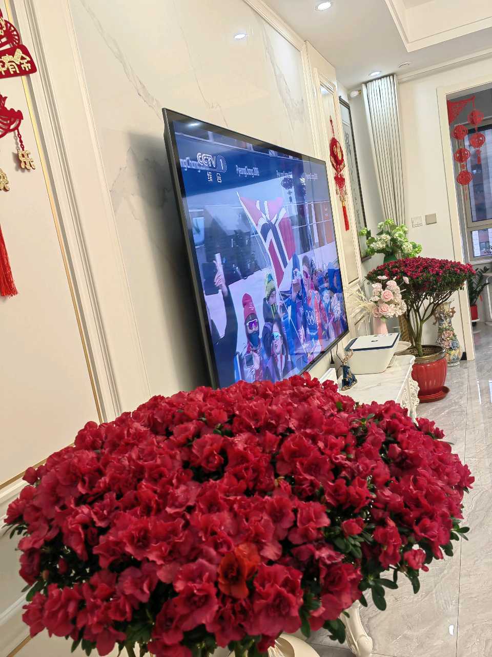 吾家杜鹃花🌸（图6）