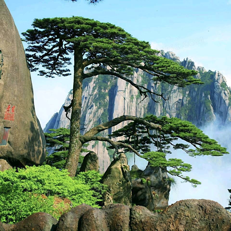 国风吉林社诗人郑占荣（河北）格律诗词2026年第3期【总第46期】——北京头条（图3）