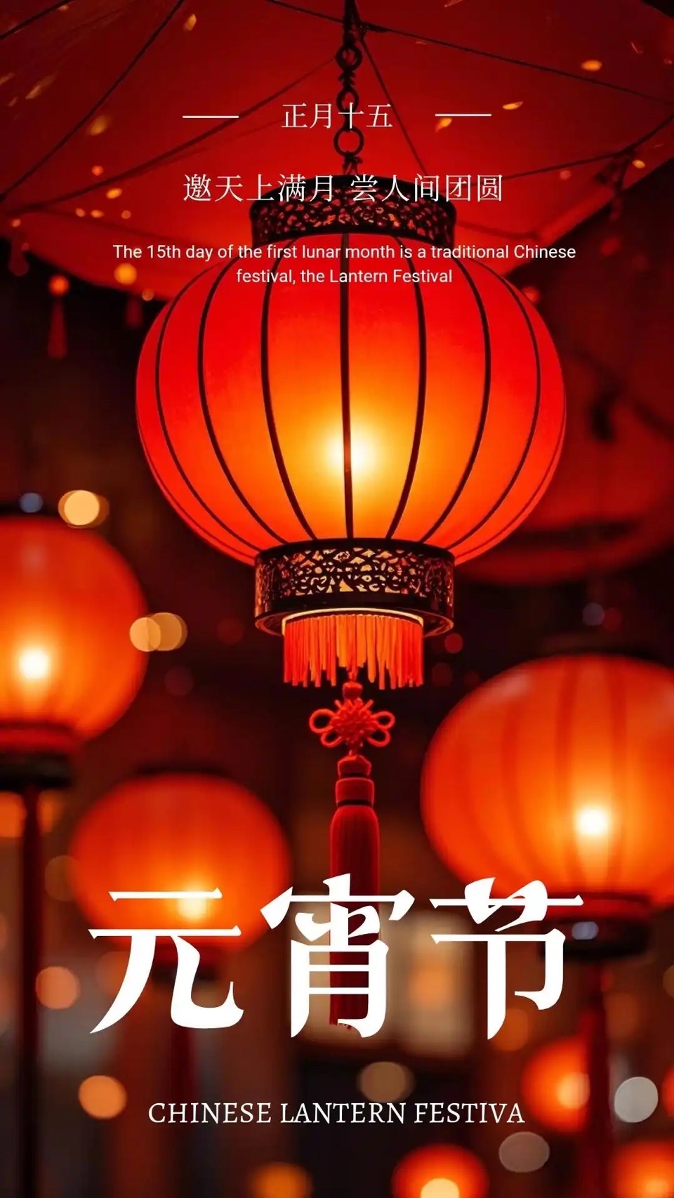 【诗词中国】精品佳作《海甸潮暖，灯火正元宵》作者：张庆松（图5）