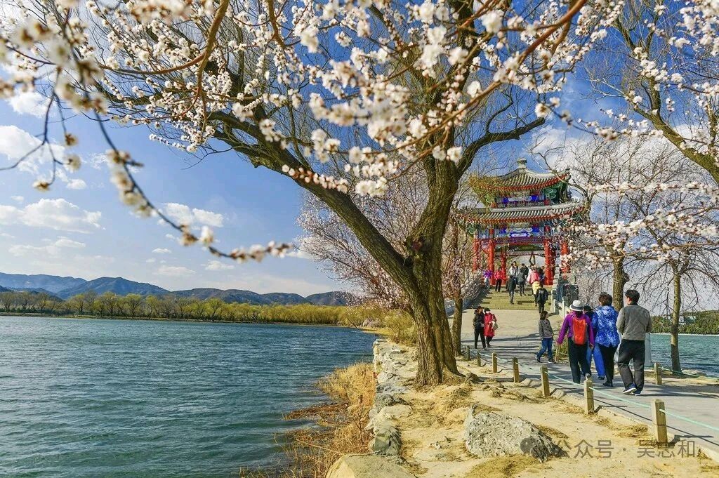 七绝四首文/胡秋华（图3）