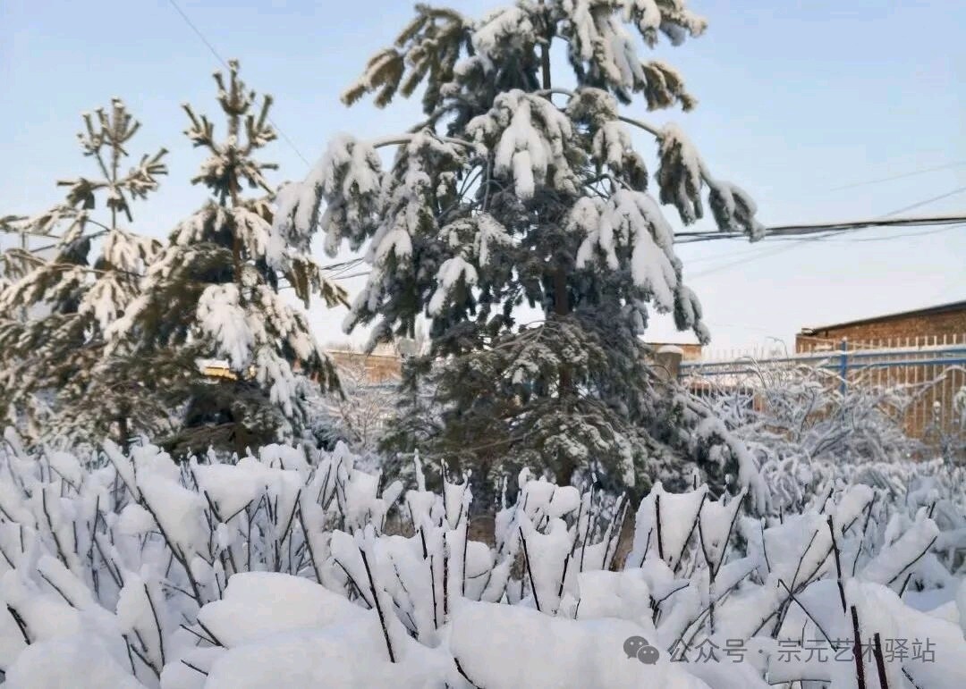 《好一场春雪》文/流淌的小河（图4）