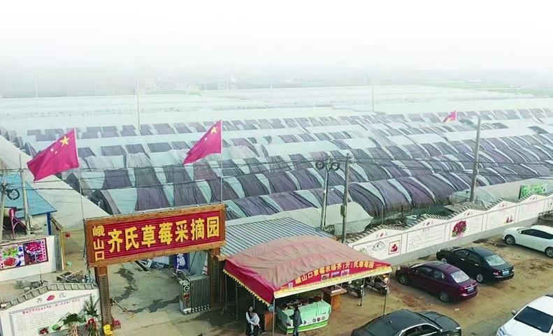 齐等后：荣获“新时代合作社高质量发展十大杰出带头人”荣誉称号（图5）