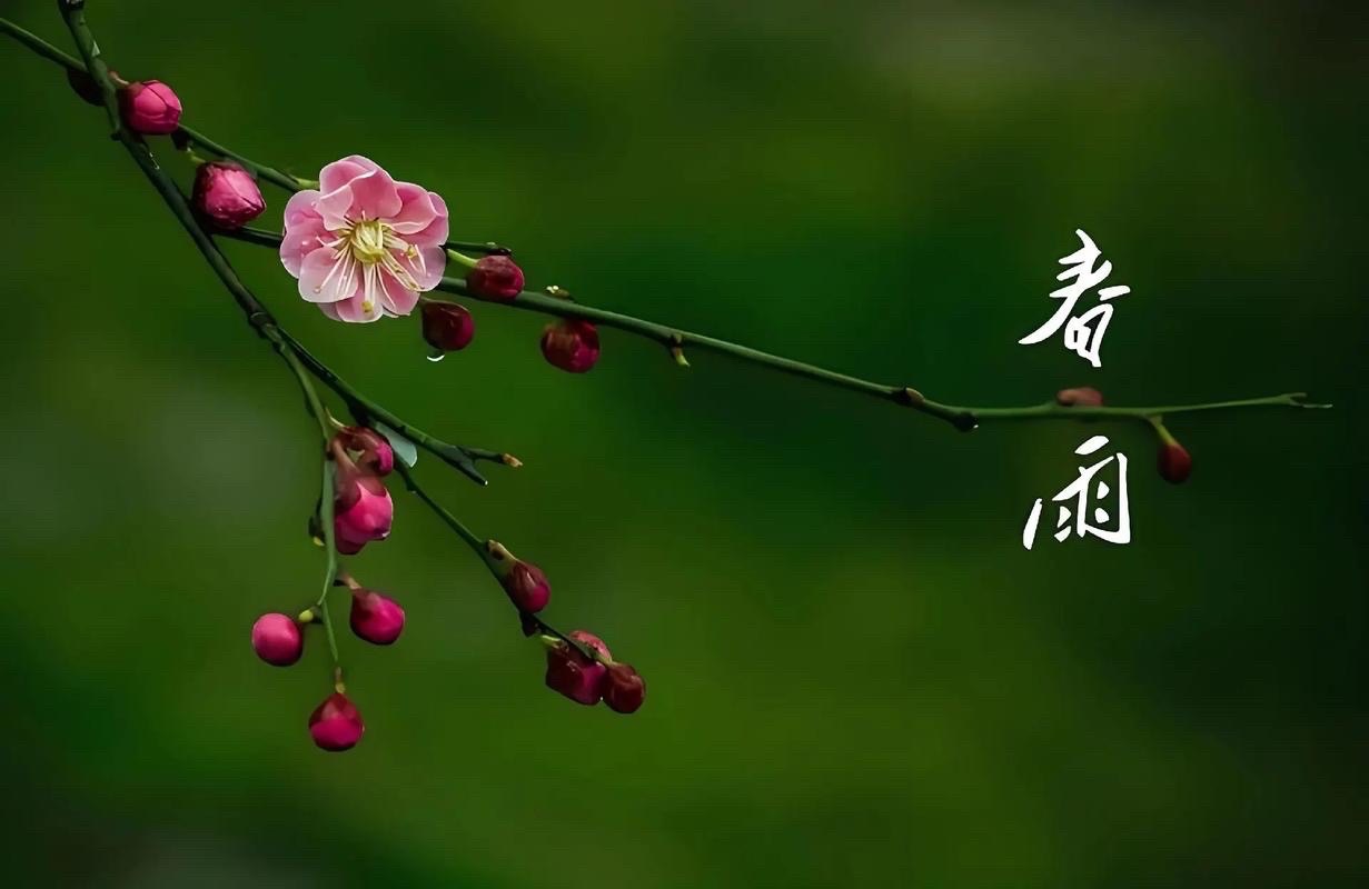 【新诗大观】春雨||文/任东波（图2）