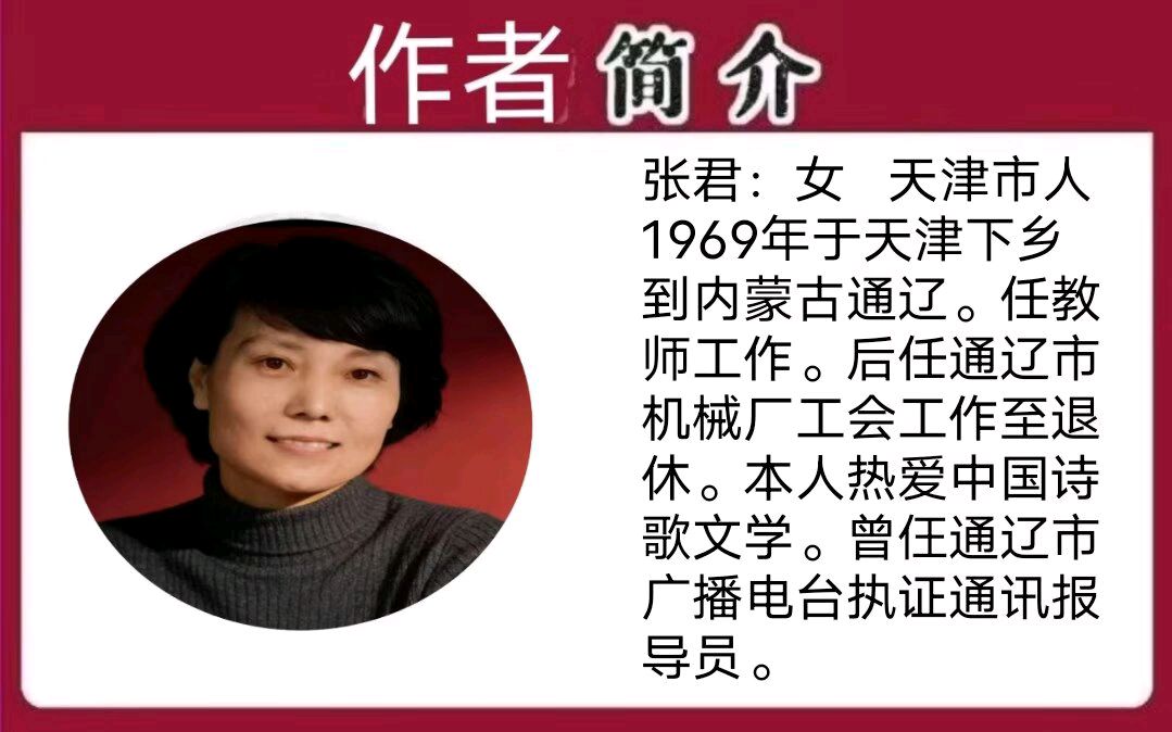 《且借人间二两墨》作者/张君 主编/胡琴（图2）