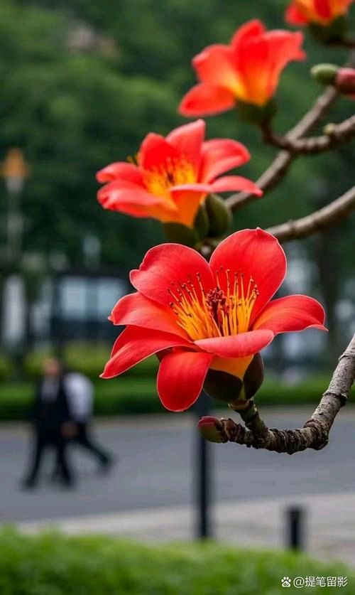 联机全球发布陈贵成作品欣赏（图5）