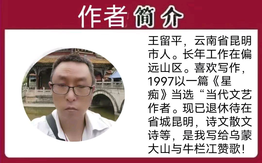 《春之韵》作者/青山不改 主编/胡琴