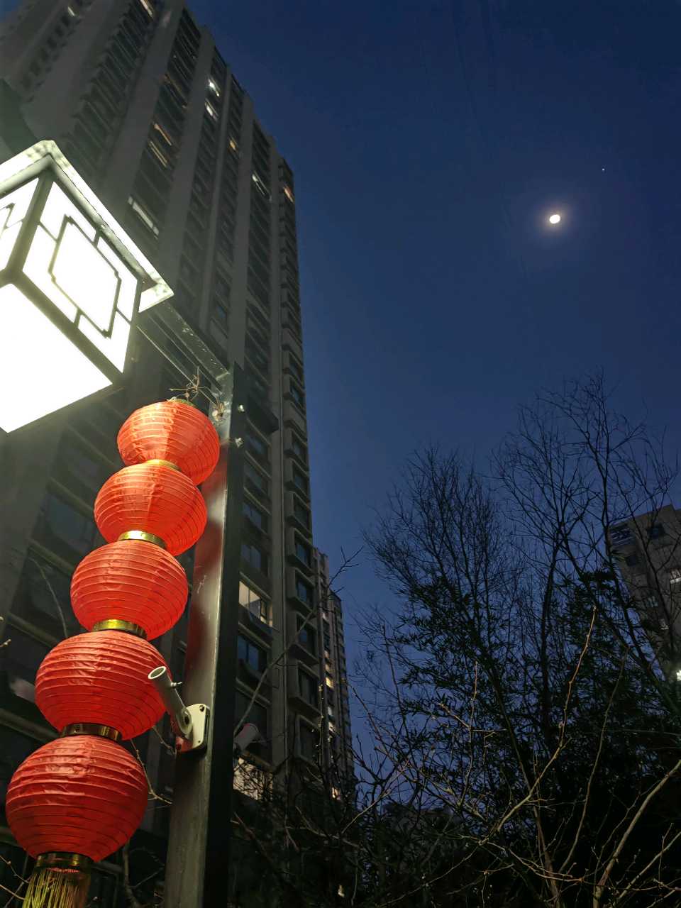 月光洒小园🌙（图3）