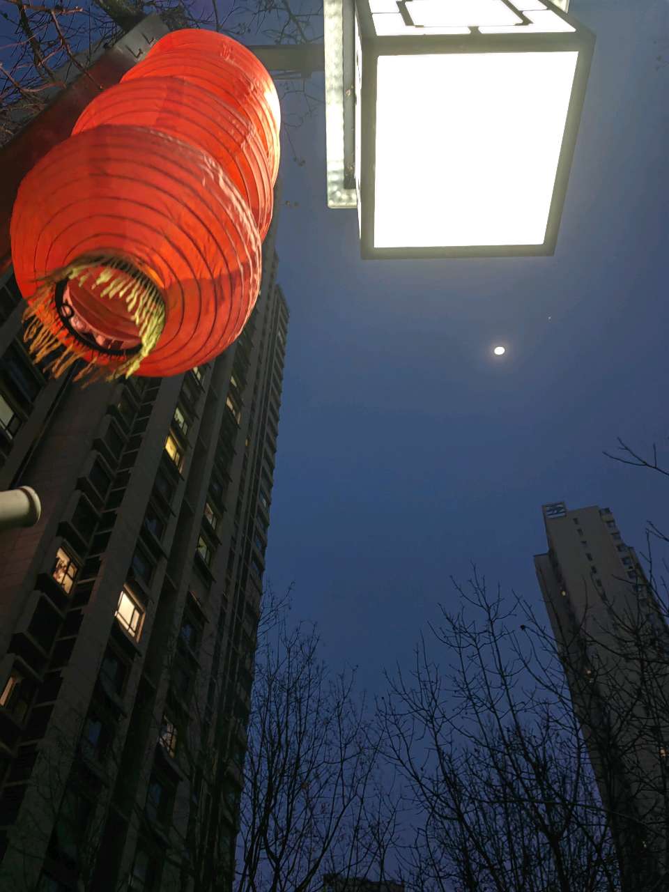 月光洒小园🌙（图8）