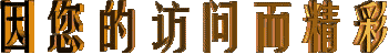 消失了的皮影戏，彭意辉（湖南）（图2）