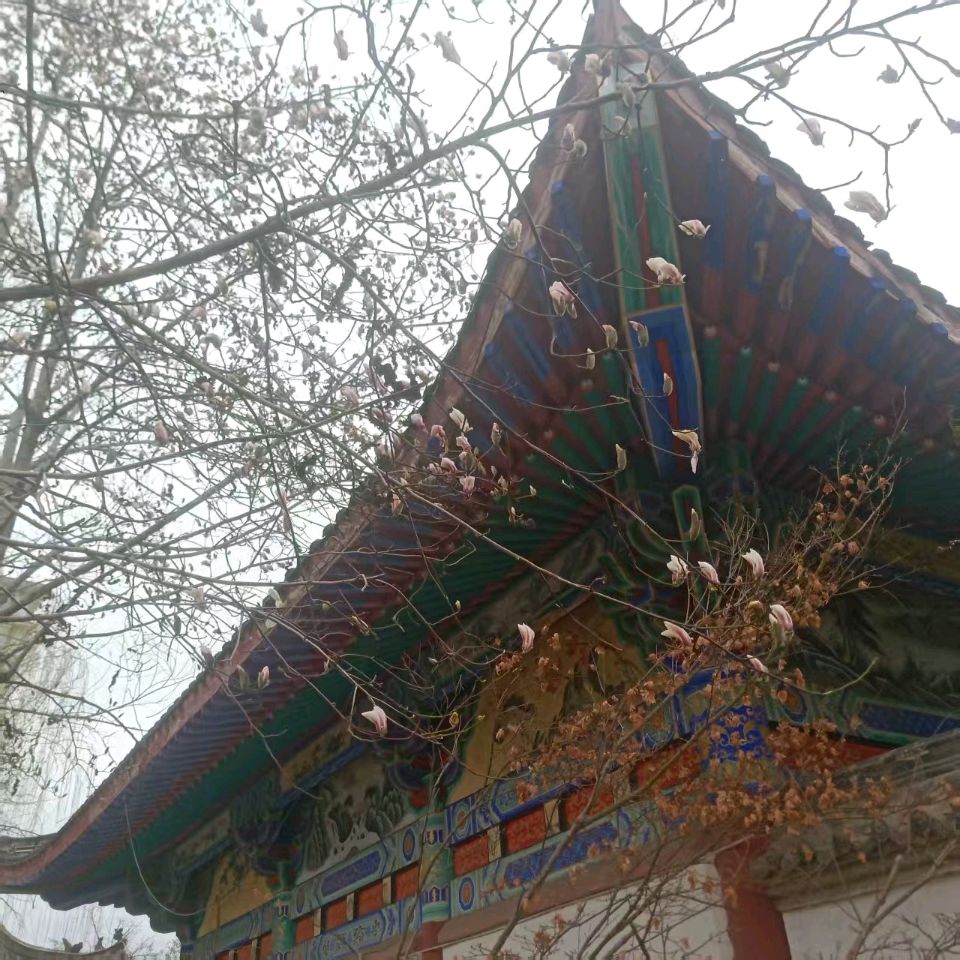 【荣耀中国】丙午年年节赴邳州市艾山一日游诗词三则作者/周效仁（山东临沂）（图4）