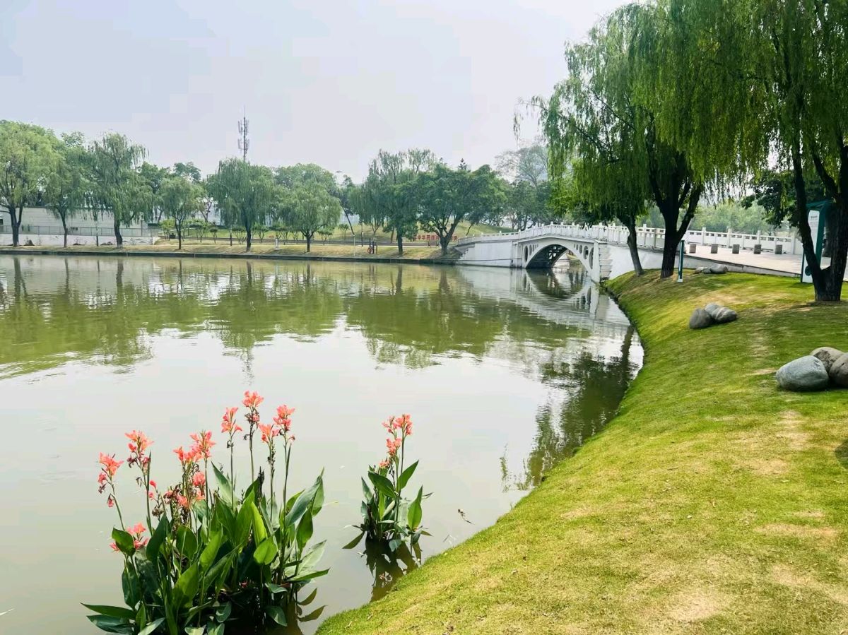 《亚洲诗艺》1022期（图8）