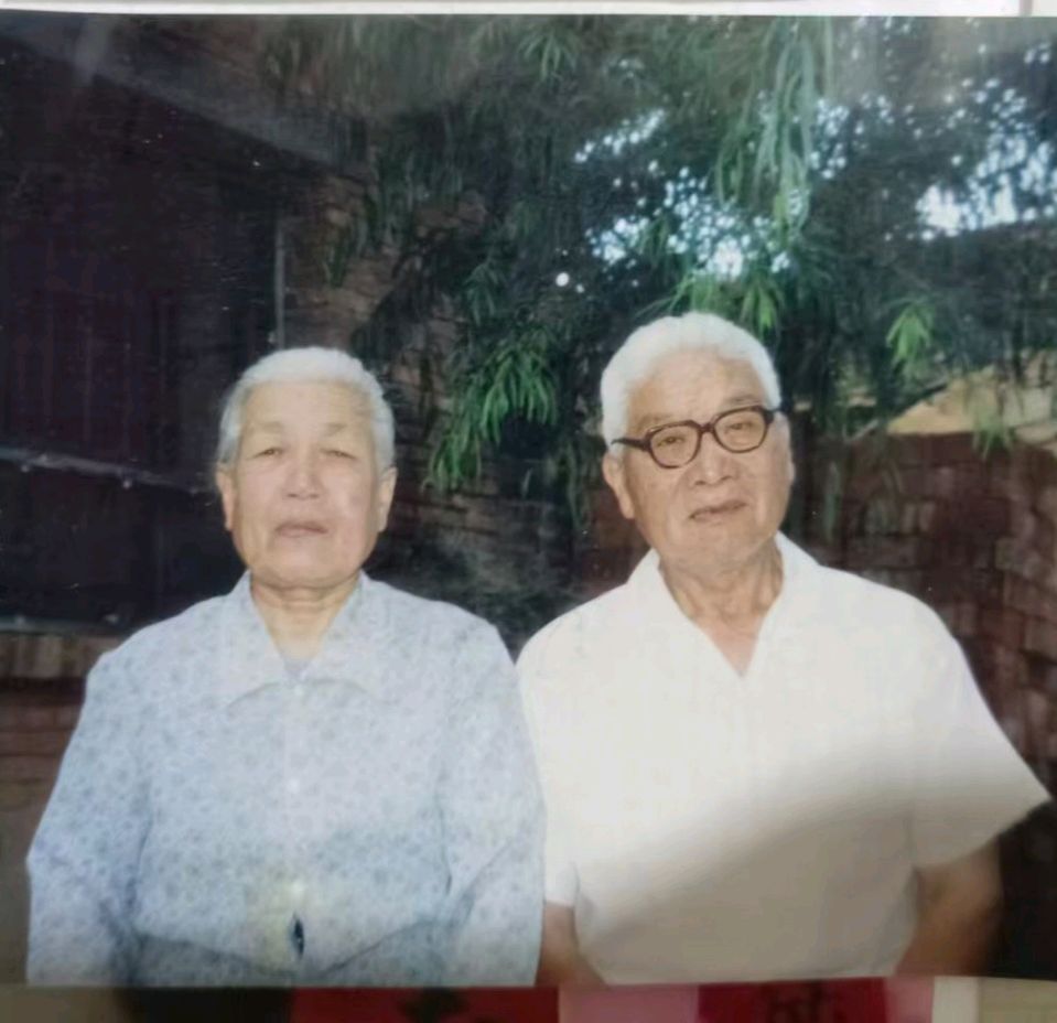 赵長民（旭东）//姐，你背上的童年我一辈子都记得（图2）