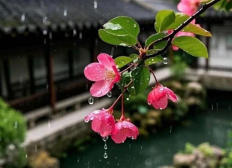 【新诗大观】迎春花（二首）||文/花惜柔（图3）