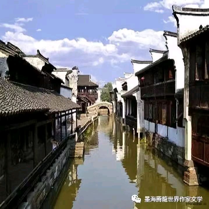 游记(三)，凤栖悟桐镇（图3）