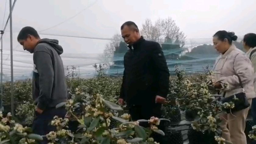 志愿新春走基层 探访基地助振兴（图3）