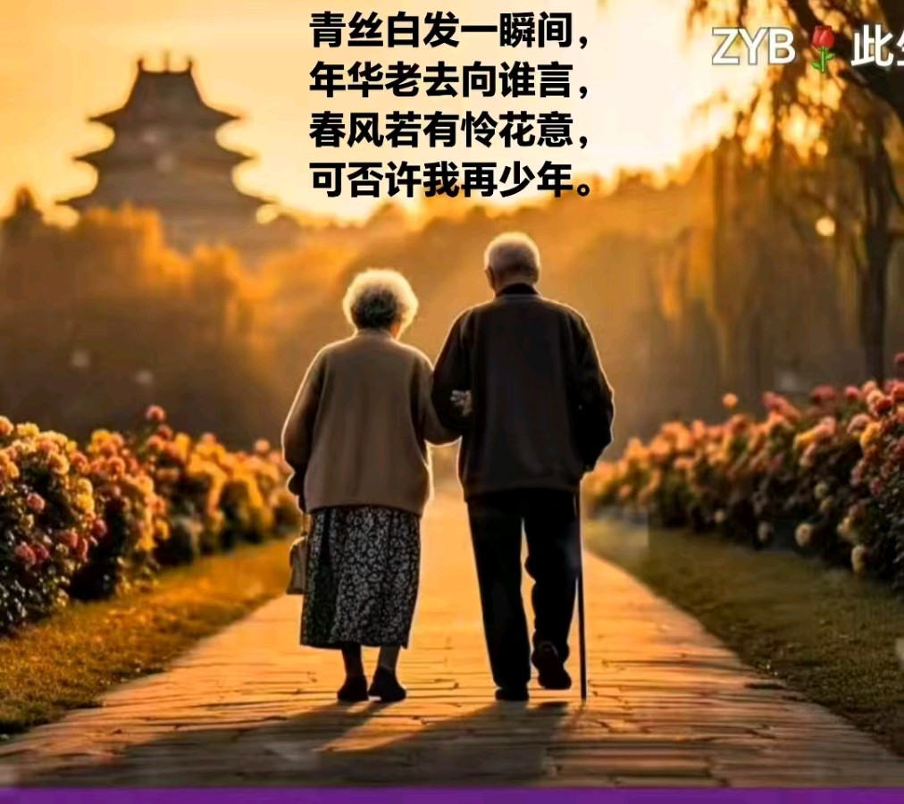 旭日东升//五十三载共白头一致爱妻灵秀三十韵