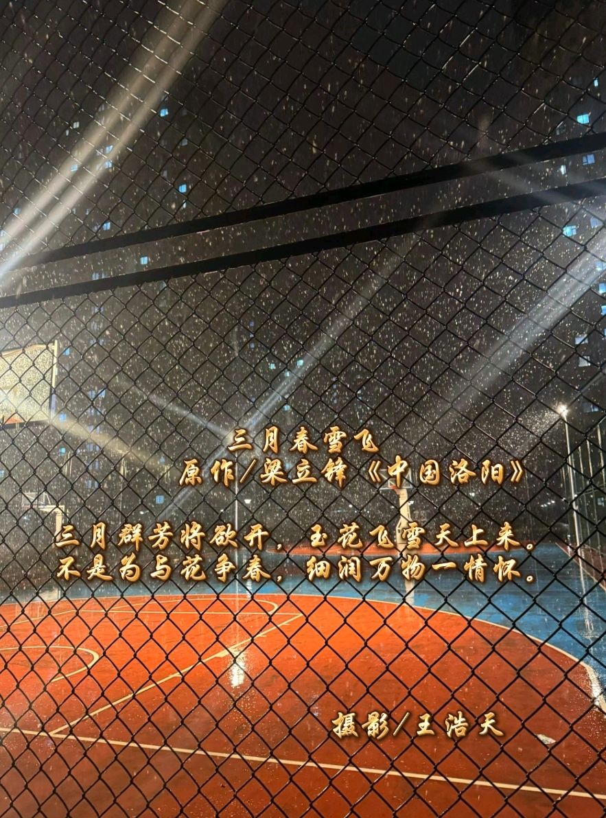 三月春雪飞 原作/梁立锋（图2）