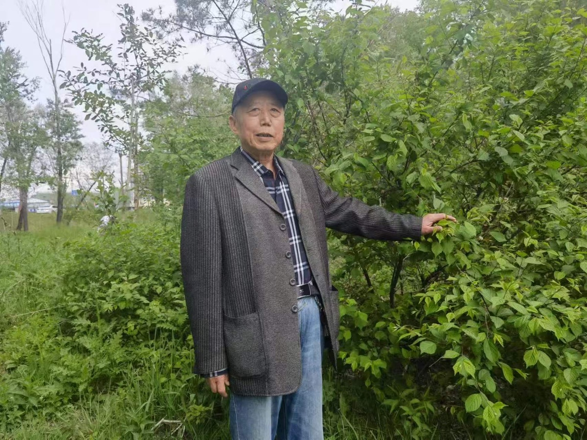 海外头条：刘金山诗词作品十首 （中国 黑龙江）元宵节感怀（七绝）（图6）