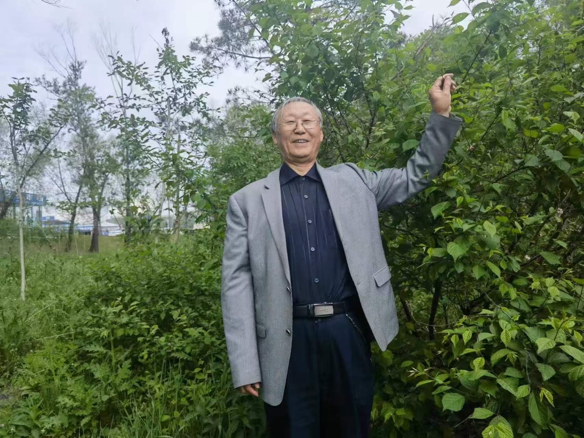 海外头条：孙亚志诗词作品十首 （中国 黑龙江）鹧鸪天.正月十五 （十阙）（图6）