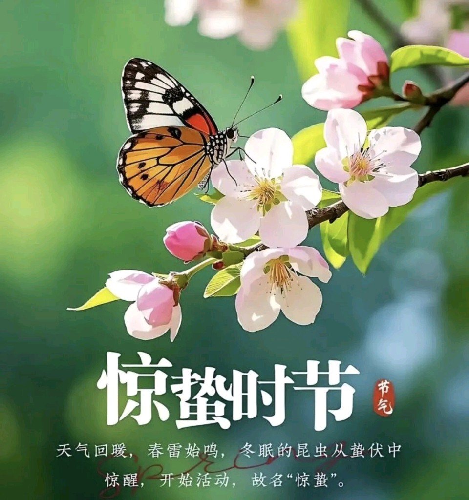 惊蛰偶成（新韵）金夜（兰州）（图4）
