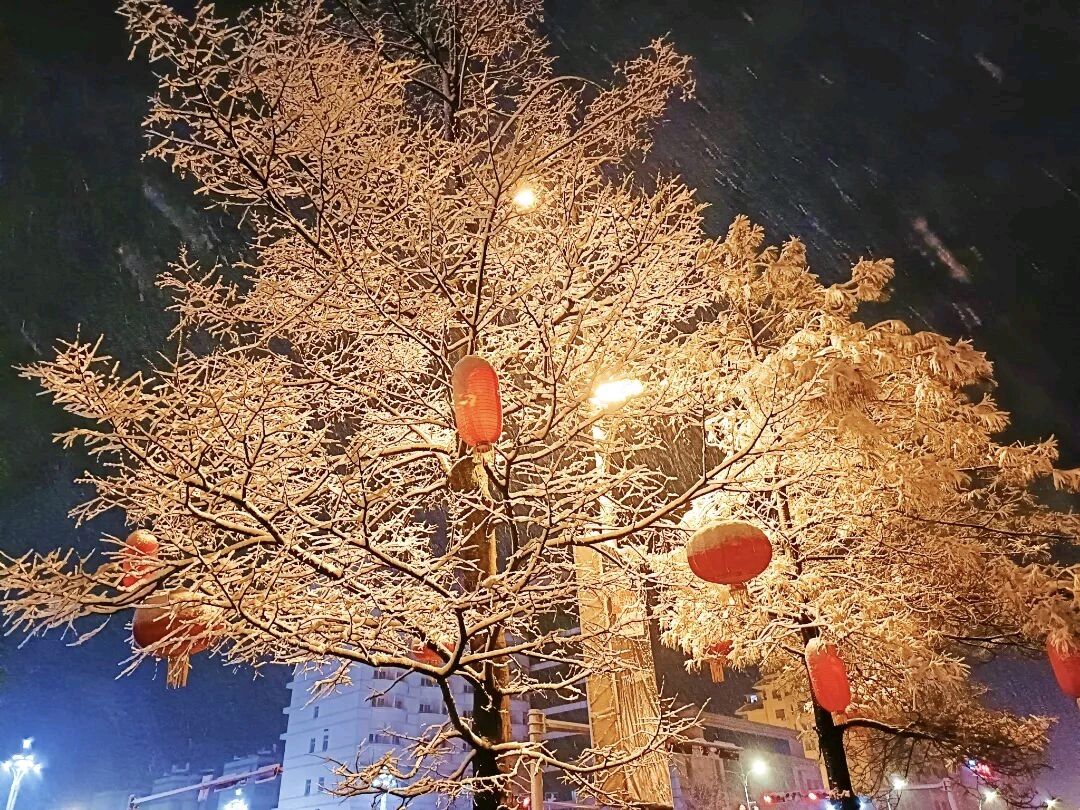 七绝四首：正月十三夜雪文/胡秋华（图6）