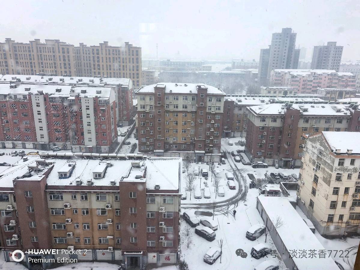 【都市头条向幸福出发编辑部】第15131期 淡淡茶香春雪诗 文 如月 主播 淡淡茶香（图3）