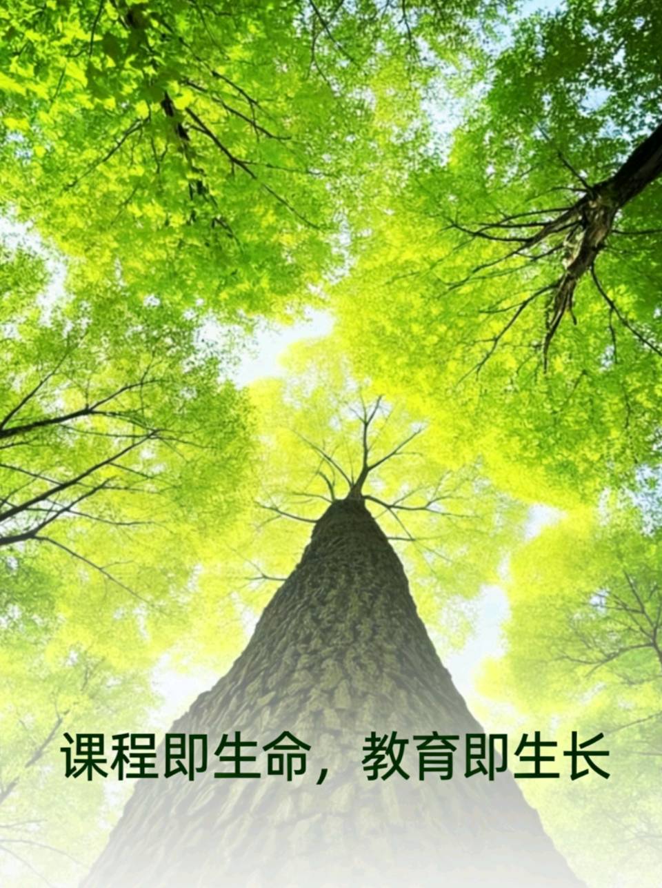 以生命为课，以个体为王——孟国泰“课程观”启示录