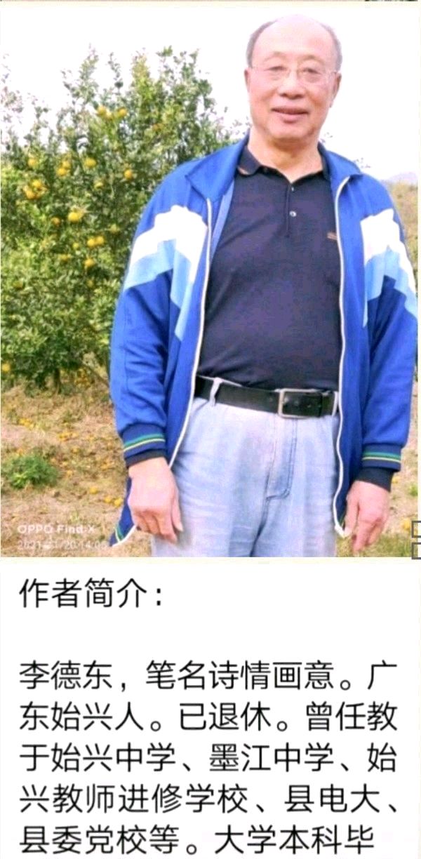 七律《贺庆元宵》诗情画意（广东）（图5）