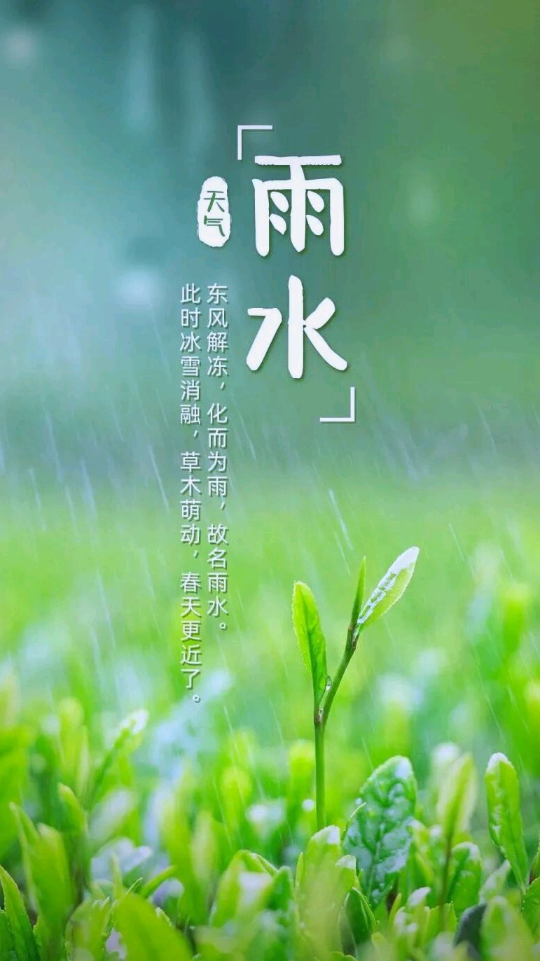 雨水～孙丙辉（河北）（图10）