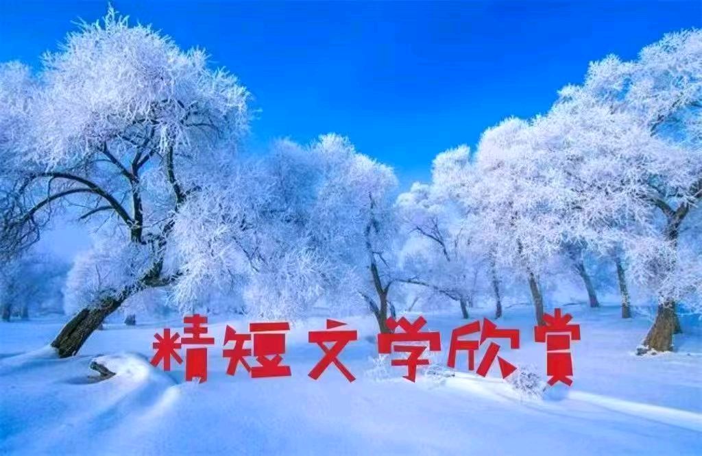【重磅推出 新年放歌】鲁坡//“当年战友喜重逢”乡间是夜闹元宵+灯火流年“系列作品展”（图9）