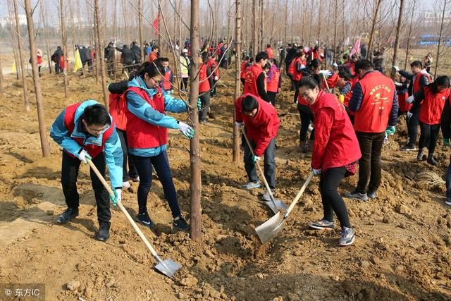 【荣耀中国】文学社*自由体《植树节》作者Ⅱ高新文（图5）
