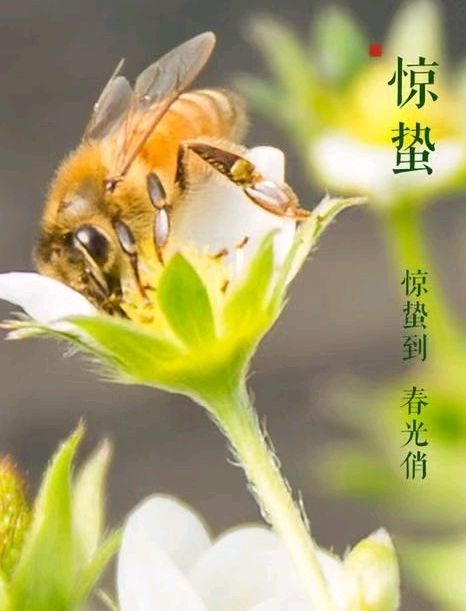 联机全球发布王楼作品欣赏(图5)