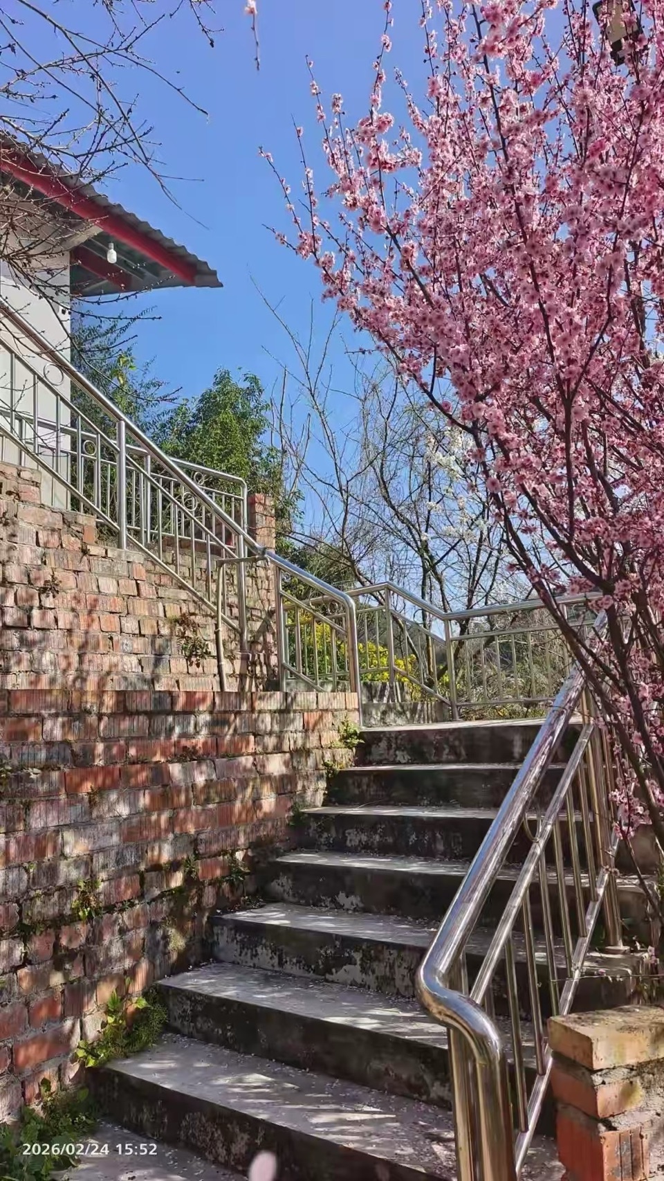 海外头条：【英译双语】咏赞新津梨花溪｜作者||米义勇（签约作家）（图23）