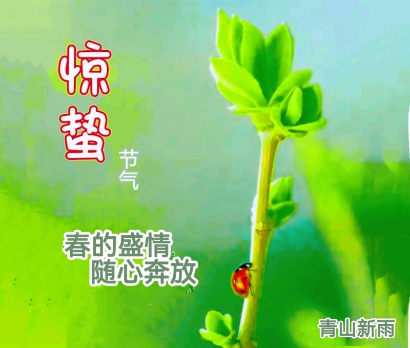 长相思·惊蛰文/青山新雨（图3）