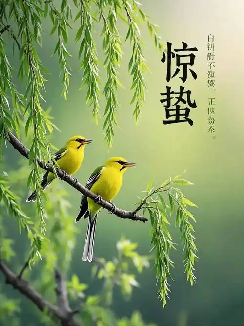 惊蛰||巴彦诗协【1201】（图3）