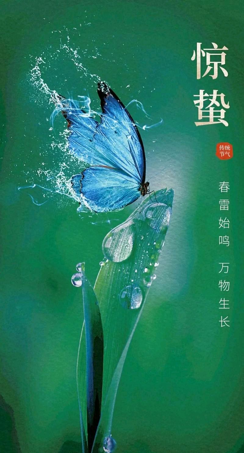 惊蛰||巴彦诗协【1201】（图4）