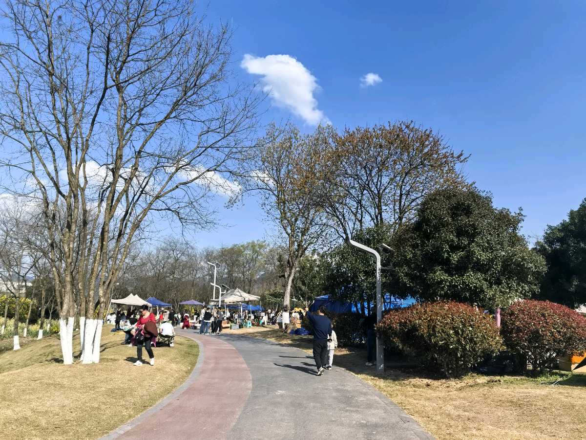 「散文」春赴三板溪，一园金黄醉渝州（图5）