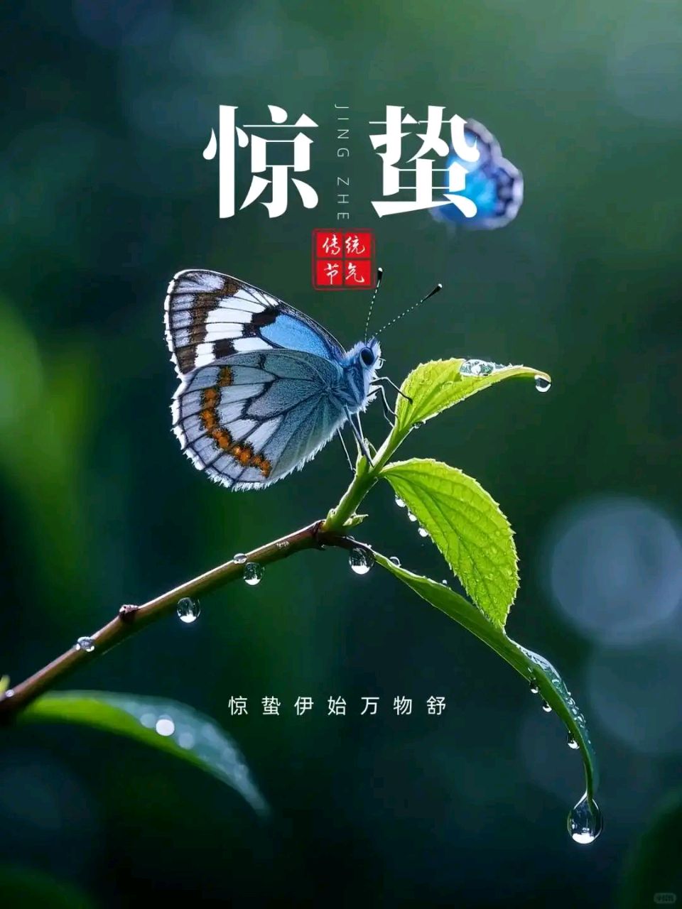 【国风呼和浩特社】2026年第7期总第139期综合刊与您共享!(图11)
