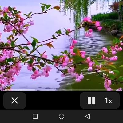 【神州源流诗苑】第1470期佳词周刊(图11)
